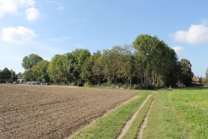 Das zur Bebauung vorgesehene Grundstück im Außenbereich ragt in den regionalen Grünzug | Foto: Detlev Sträter