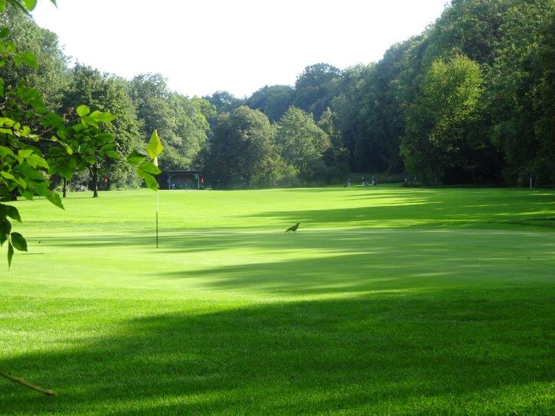Keine Verlängerung des Pachtvertrags zwischen der LH München und dem Münchner Golfclub (MGC) in Thalkirchen