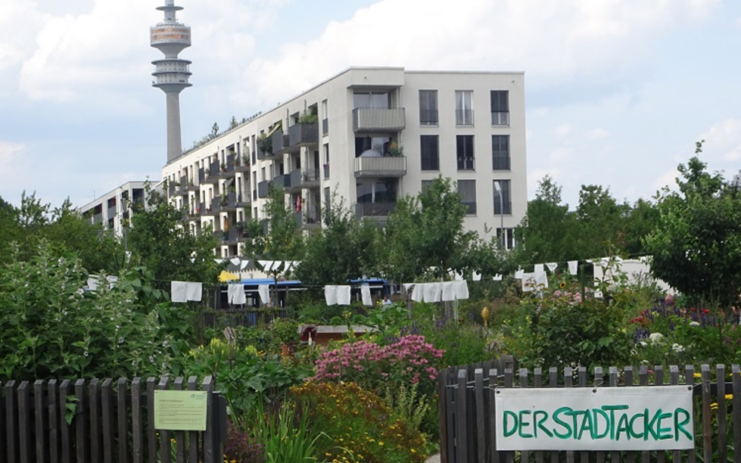 Bioversorgung auf Mitgliederbasis und urbanes Gärtnern am Ackermannbogen [Forum aktuell 05/2017]
