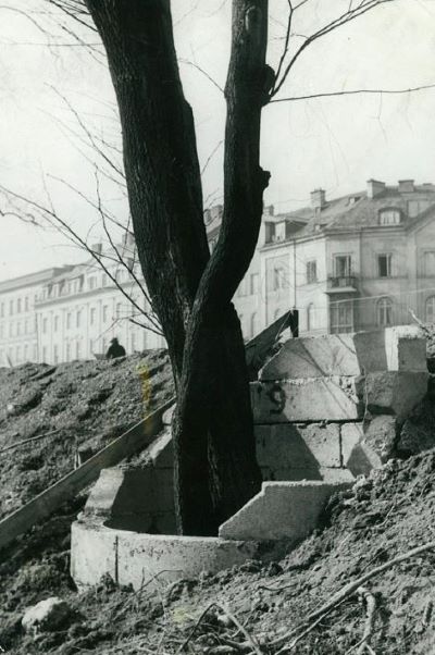 Baumschutz 60er Jahre in München