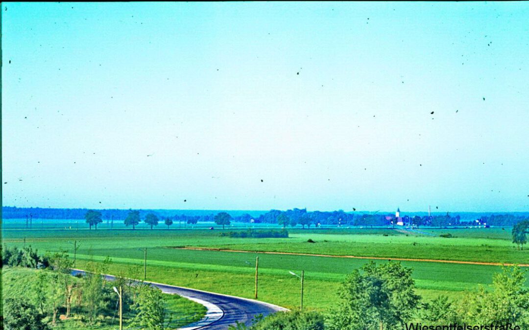 Aufnahme aus der Wiesentfelser Str. 74 im Jahr 1972(mit Blick nach Süden)