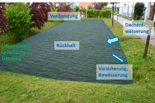 Grün-blaue Infrastruktur: Beispiel einer multifunktionalen Fläche mit sehr geringem Aufwand, aber hoher Wirkung