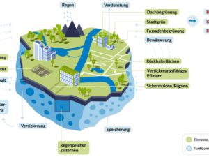 Schwammsiedlung: Grundprinzip, Funktionen, Maßnahmen