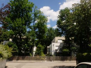 Grünerhalt trotz Nachverdichtung Auch so kann nachverdichtet werden, allerdings bleibt dies bislang ein glücklicher Ausnahmefall