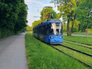Symbolbild Tram im Grünen