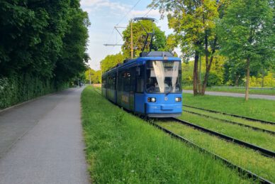 Symbolbild Tram im Grünen