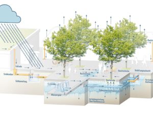 Vortrag: Ist München fit für den Klimawandel? Positivbeispiel für den Unterbau eines Marktplatzes aus Wien