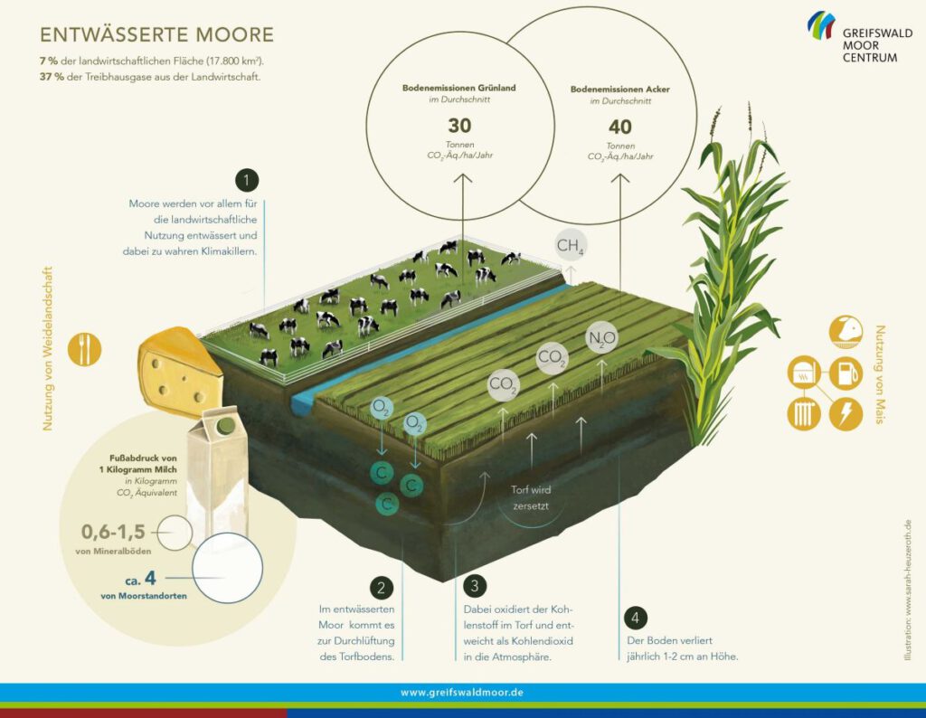 Klimarelevanz entwässerter Moore