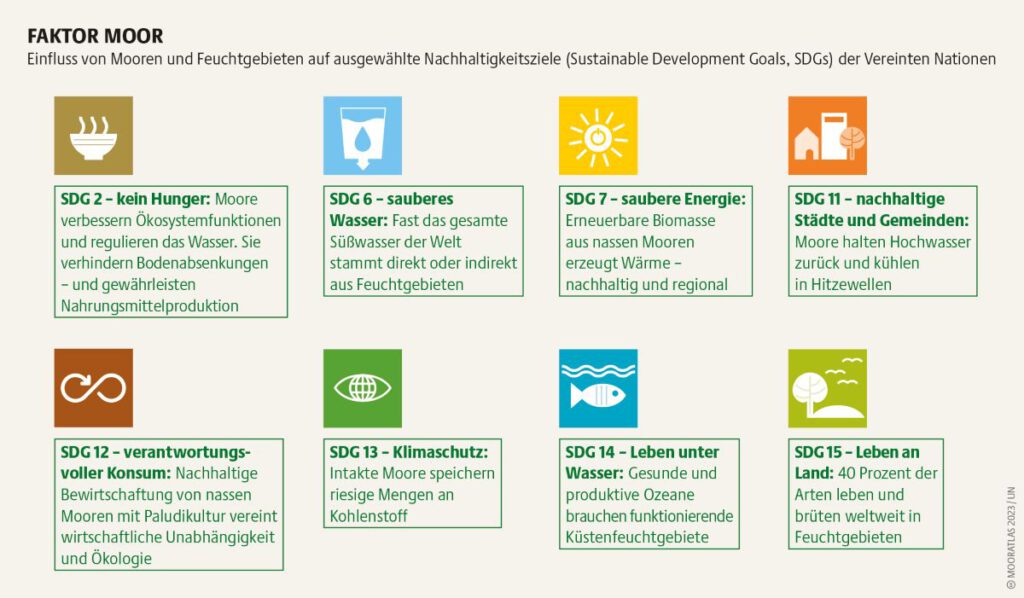 Faktor Moor: Einfluss von Mooren und Feuchtgebieten auf ausgewählte Nachhaltigkeitsziele