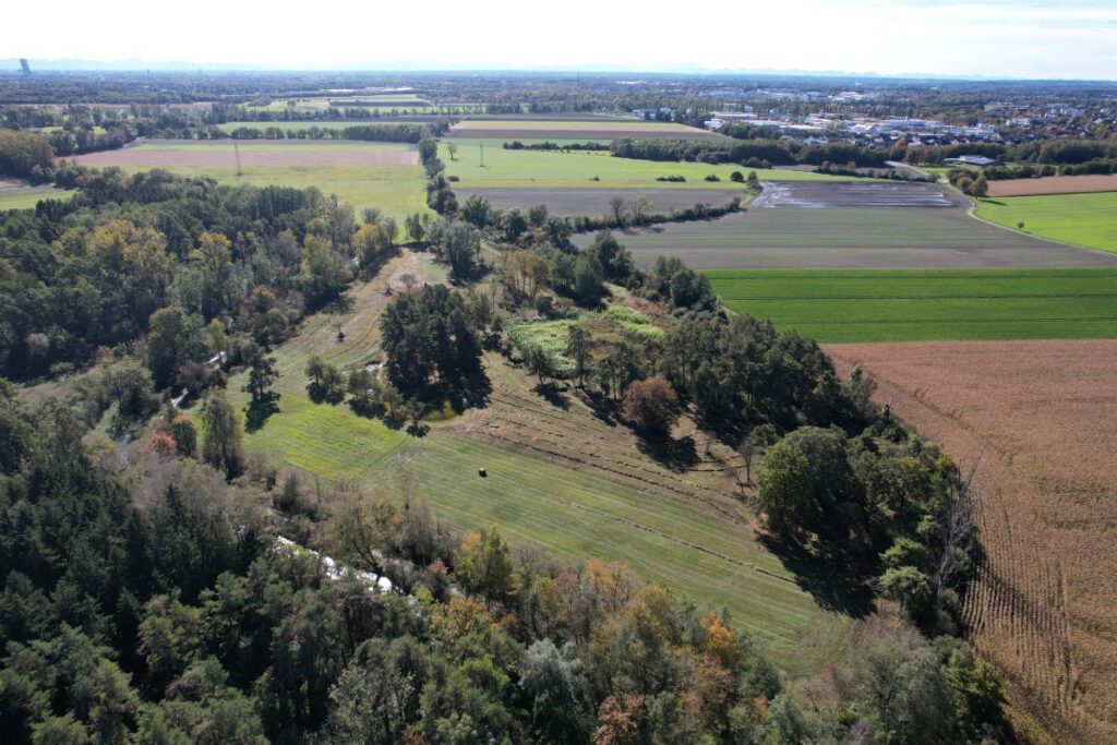 Die sogenannte Dannerwiese im NSG Schwarzhölzl mit Blick auf die Feldmochinger Flur