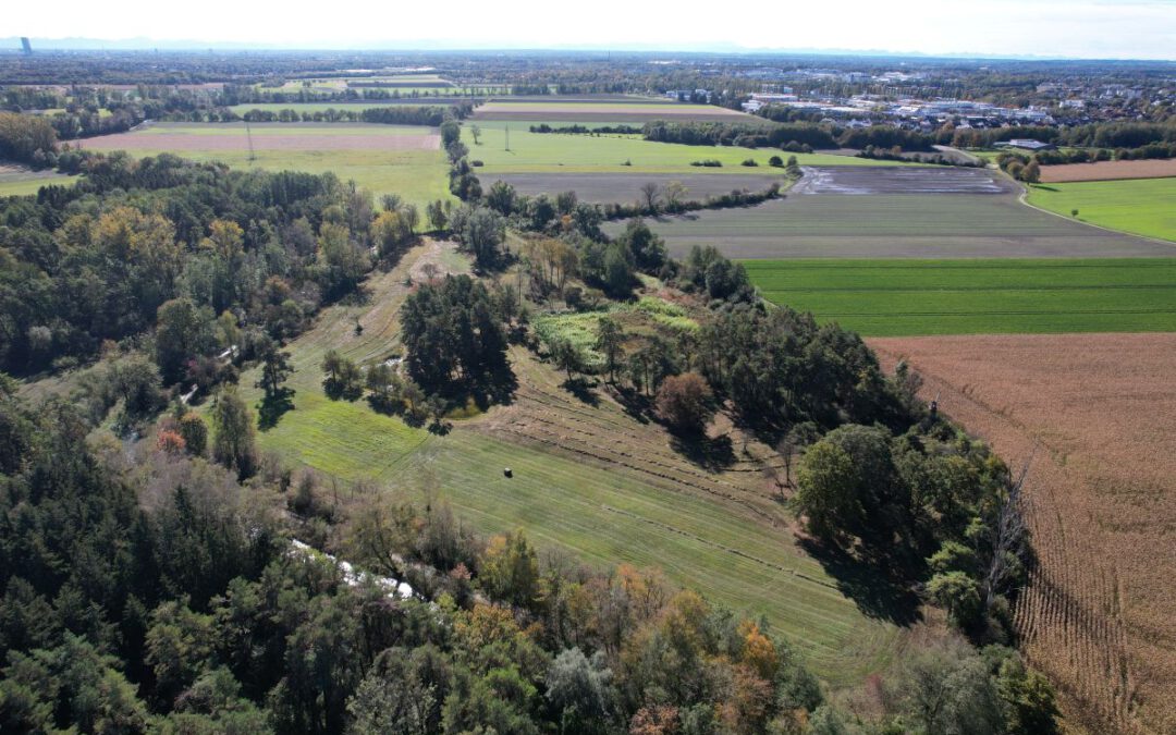 Die sogenannte Dannerwiese im NSG Schwarzhölzl mit Blick auf die Feldmochinger Flur