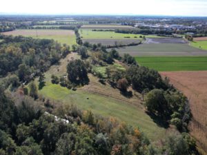 Die Münchner Moorböden: Ein kaum beachteter Emissionsfaktor Die sogenannte Dannerwiese im NSG Schwarzhölzl mit Blick auf die Feldmochinger Flur