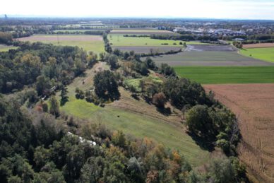 Die Münchner Moorböden: Ein kaum beachteter Emissionsfaktor Die sogenannte Dannerwiese im NSG Schwarzhölzl mit Blick auf die Feldmochinger Flur