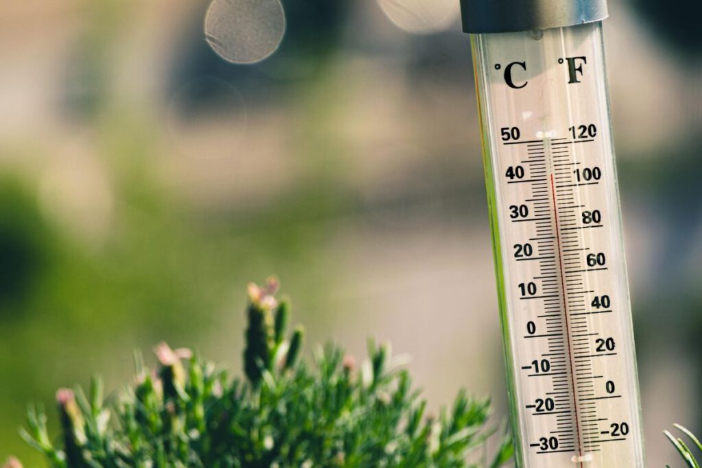Thermometer Sommer