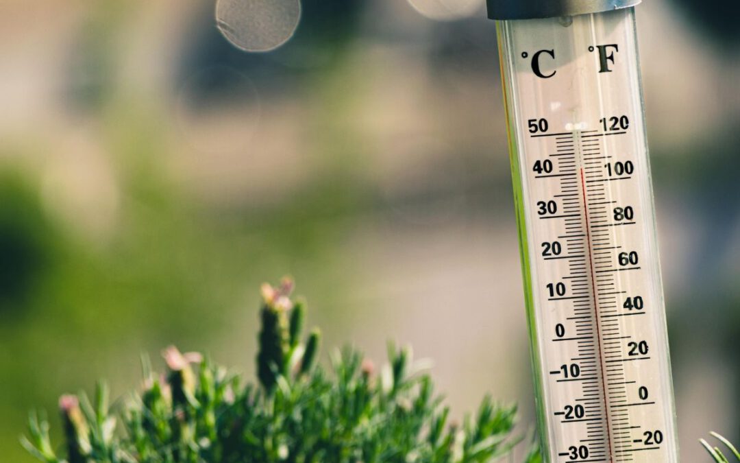 Thermometer Sommer